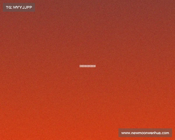 帕德博恩对汉堡比赛结果